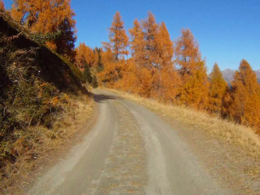 MTB - Passo 5 Croci - Telve